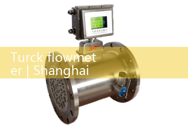 Turck flowmeter